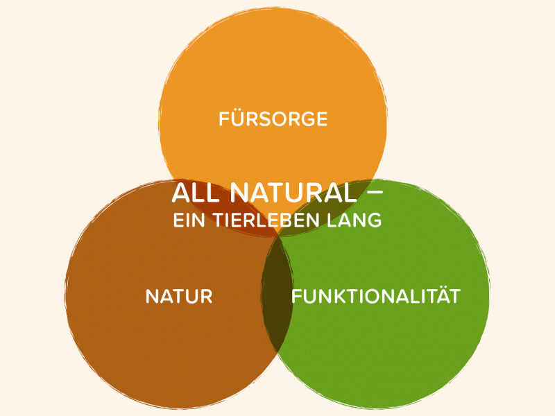 Die Werte der ANiFiT AG